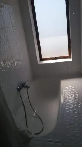 Pingüino En La Roca Cabañas