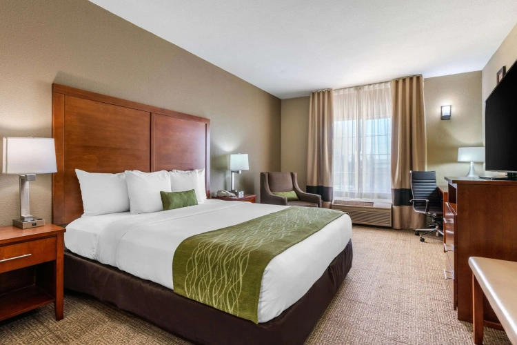 Standard Double room