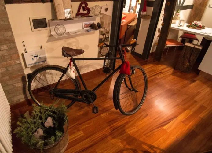 Duplex Studio