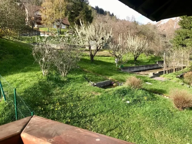 Standard Single room with balcony and with garden view
