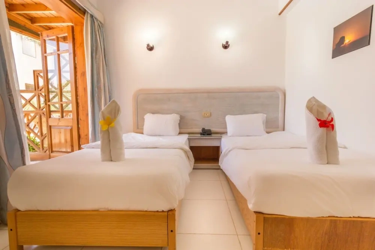 Deluxe Single room