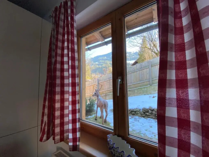 Residence Cosy