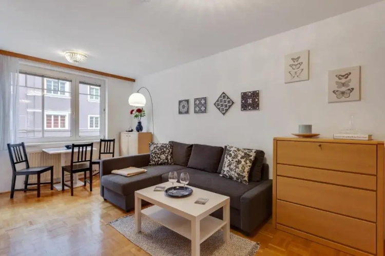 1 Bedroom Apartment