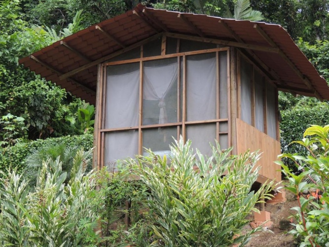 Standard Bungalow