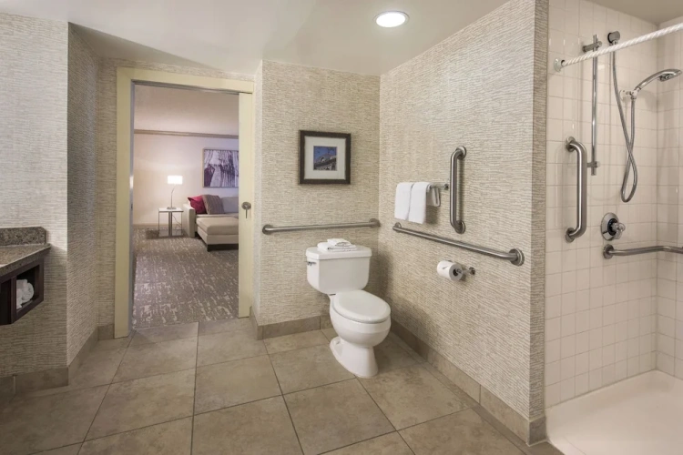 1 Bedroom Luxury Suite