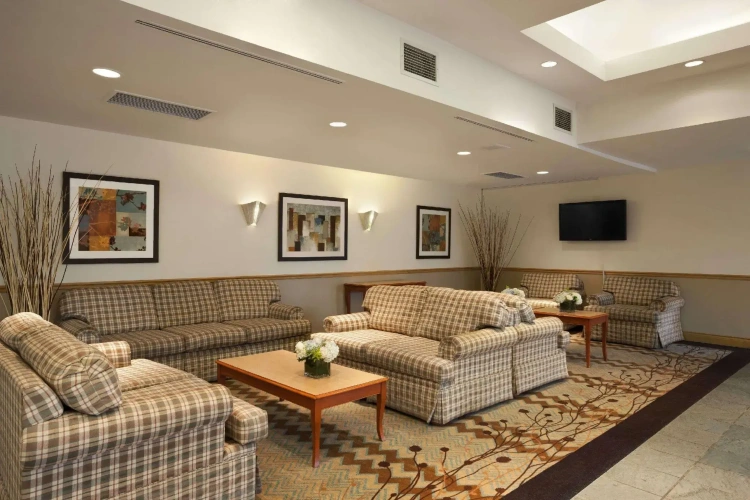 Executive Single Suite