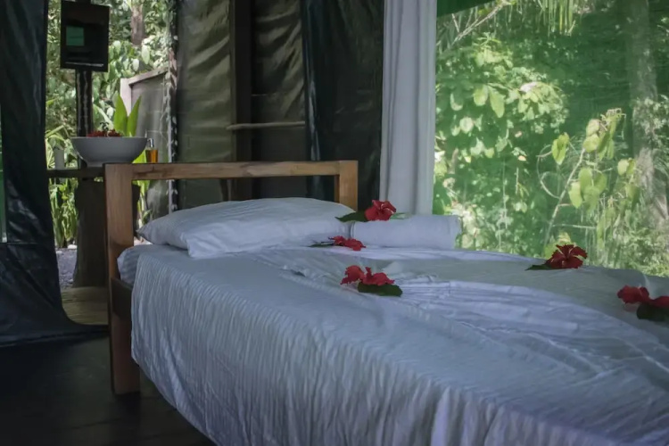 La Leona Eco Lodge