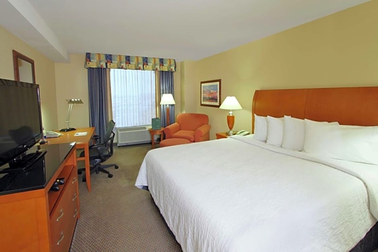 1 Bedroom Suite