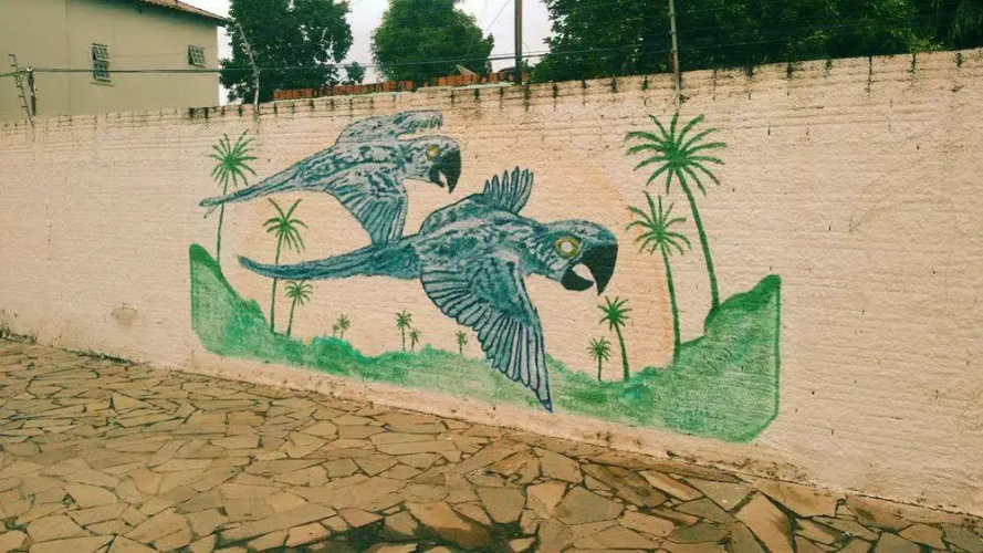 Corumba Hostel Pantanal