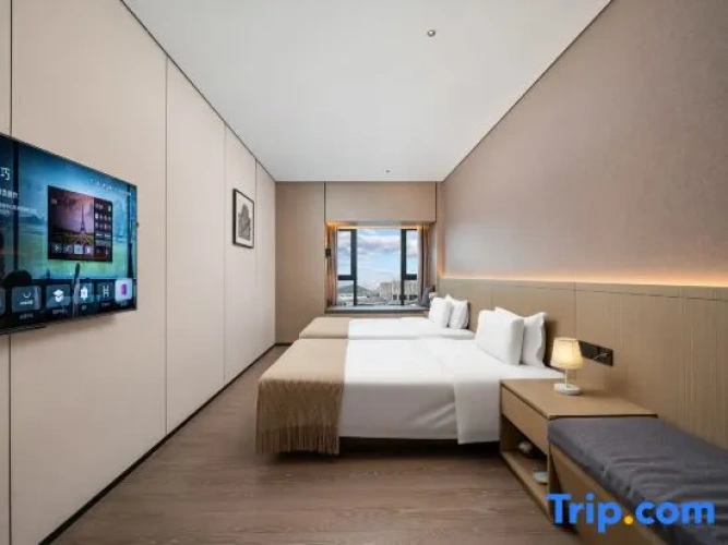 Premium Twin room with city view