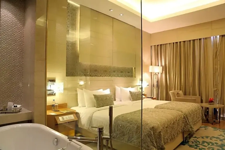 Deluxe Double room with view