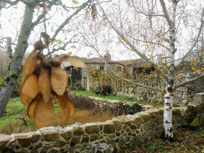 Reitoral De Chandrexa