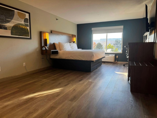 Best Western Plus Fenton