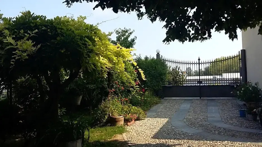 Il Germano Reale