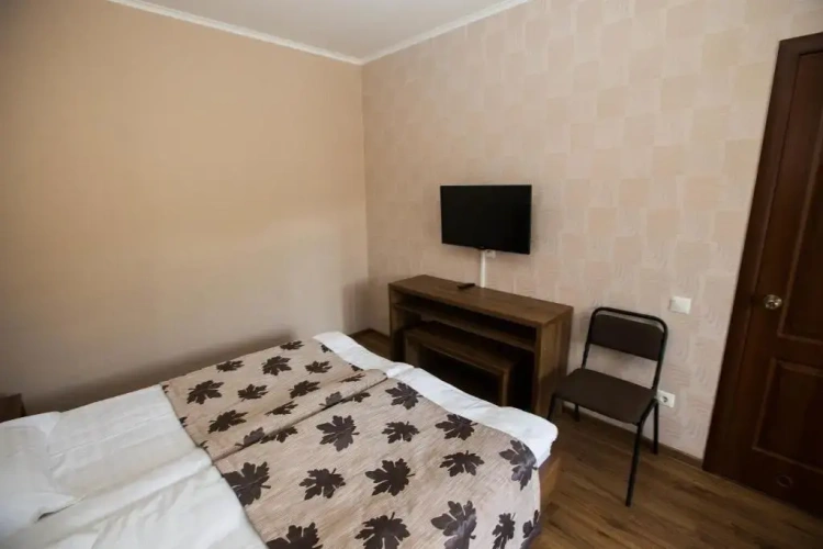 Standard Double room with garden view