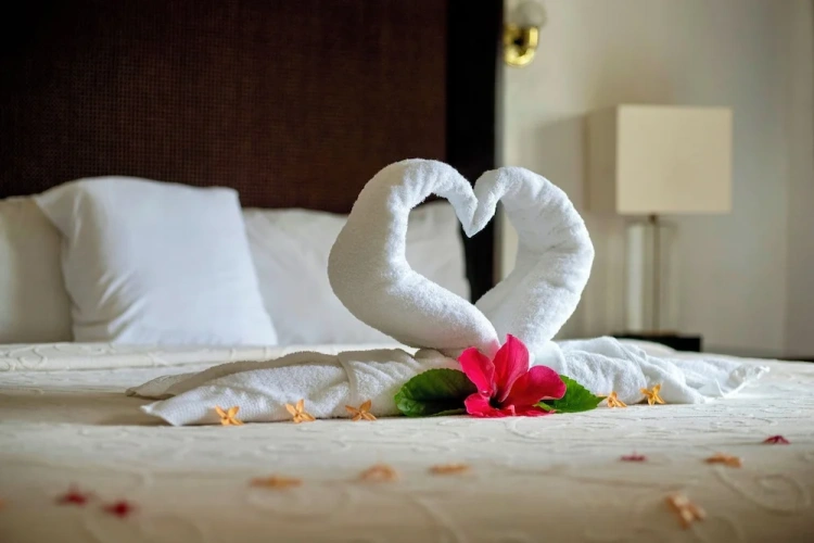 Standard Double room with balcony and with ocean view