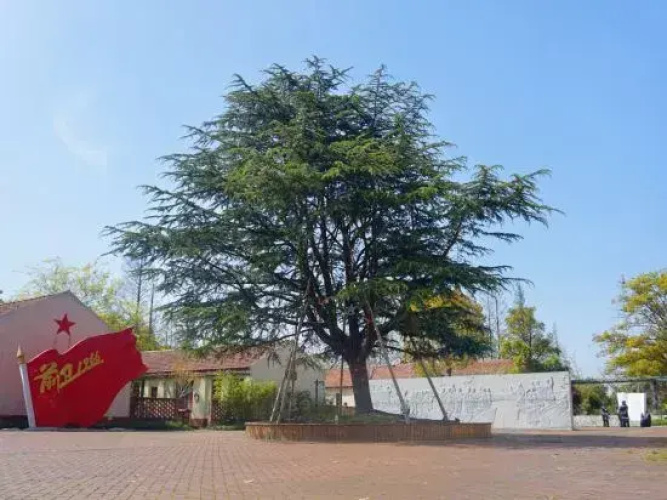Qianwei 1966 Hotel