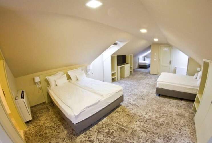 Pensiunea Sarea-N BucateOver view