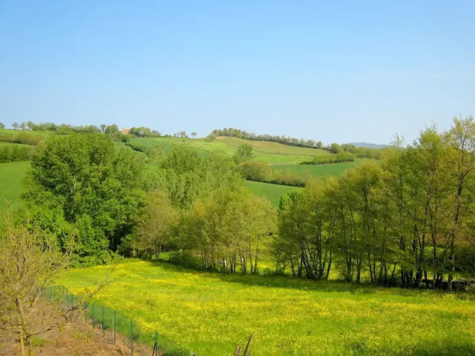 Tuscan Charm: Frassini Cottage