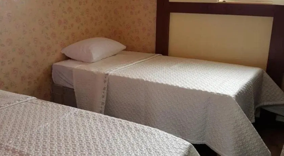 Alps Hotel