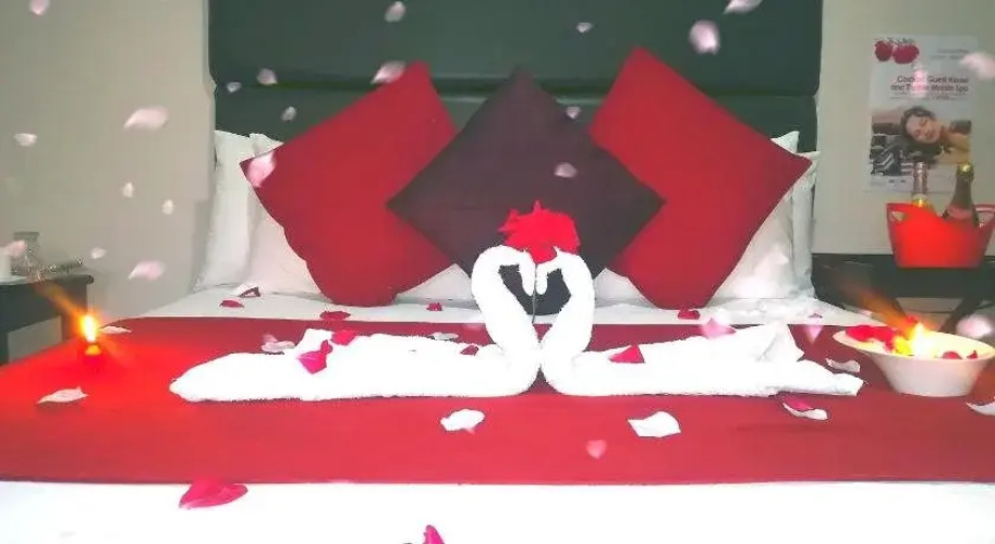 Cockpit Guesthouse