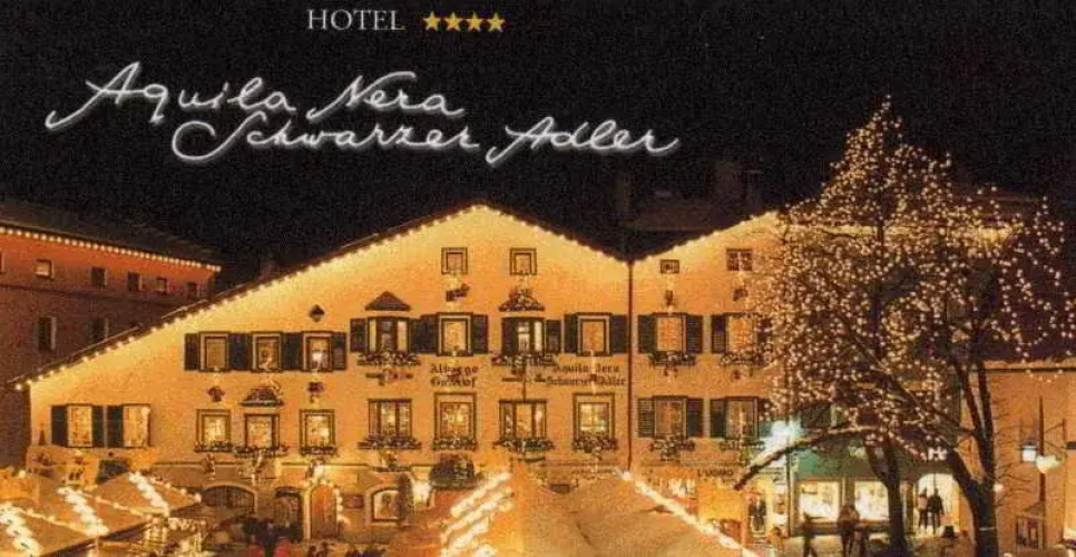 Schwarzer Adler Aquila Nera - Vipiteno