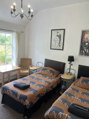 Superior Twin room with garden view