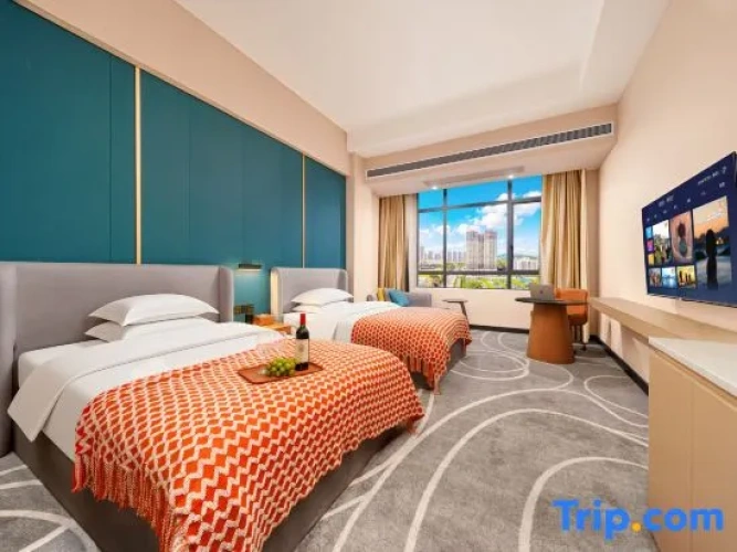 Standard Twin room with city view