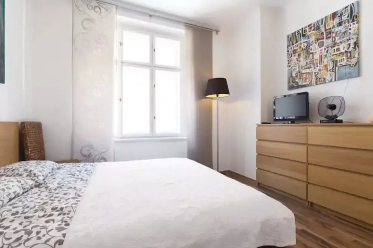 Chic And Spacious Buzulucka Apartment