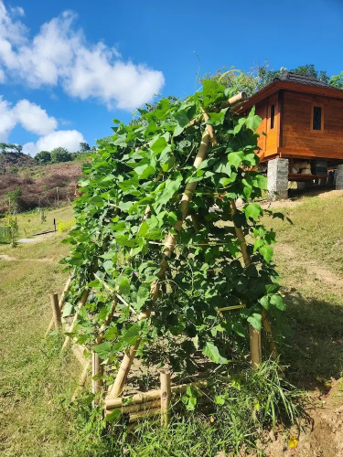 Mawun Valley Farm