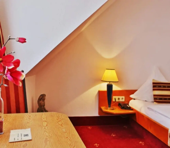 Deluxe Single room
