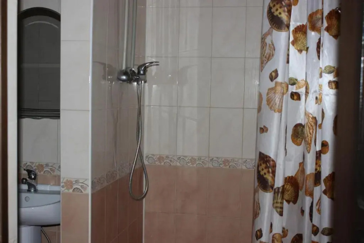Guest house Irina
