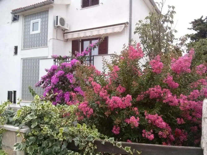2 Bedrooms Apartment with sea view