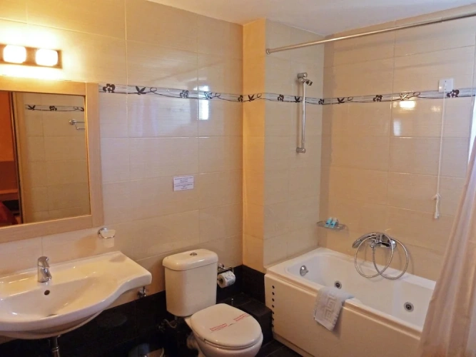 1 Bedroom Superior Apartment with balcony