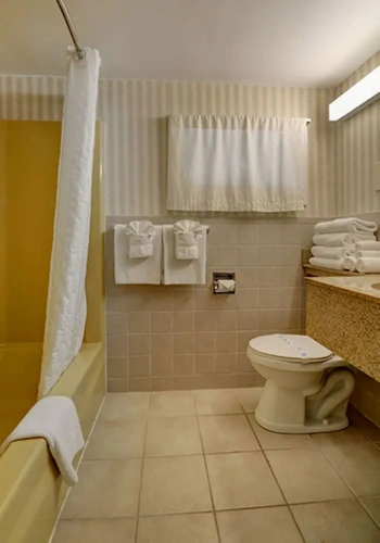 Double Apartment