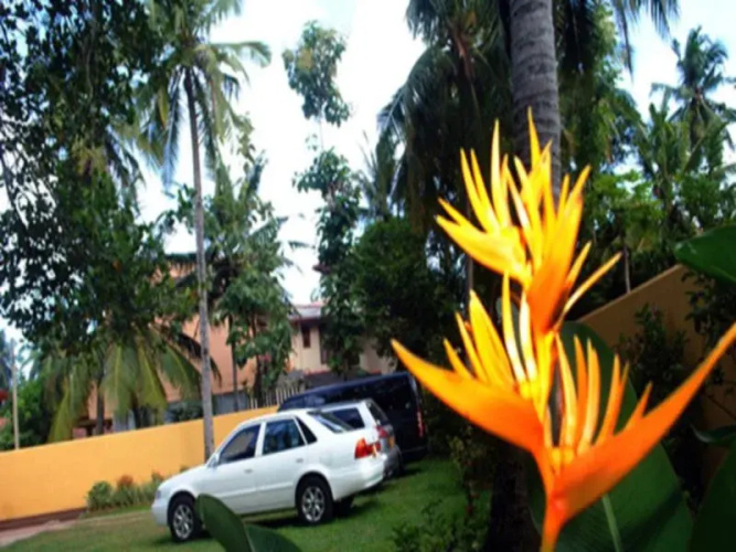 The Bliss Hotel
