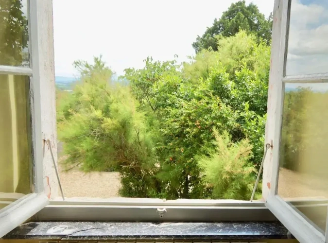 Standard Family room with garden view