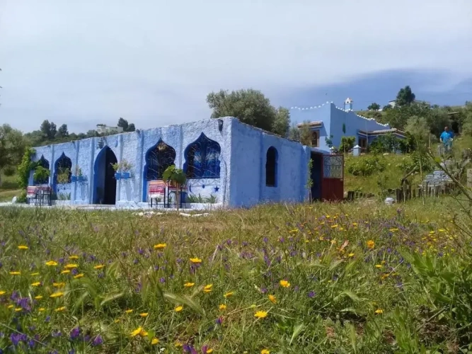 Bungalow
