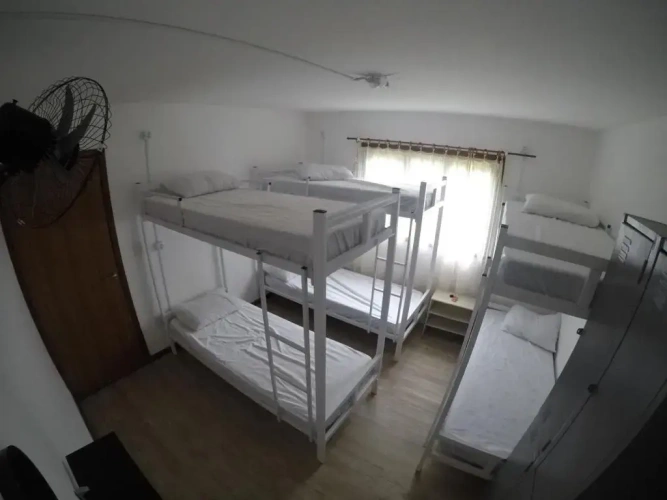 Bed in Dorm
