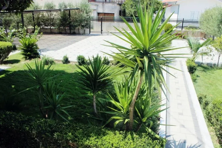 2 Bedrooms Apartment with balcony