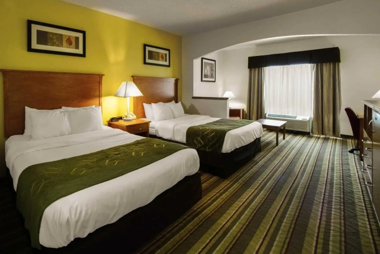Quadruple Suite