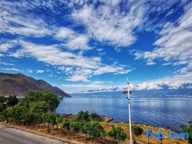 Tang · Beautiful Seaside Accommodation