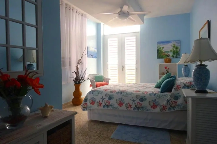 Deluxe Double room with balcony and with view
