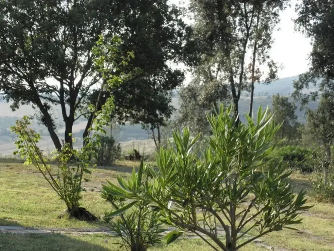 Fantastic Apartment in Massa Marittima