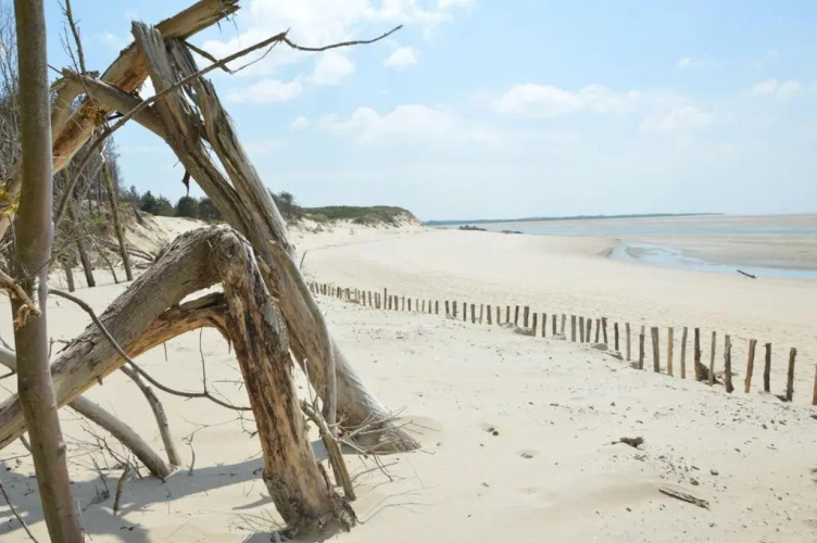 HAMAC - vue mer - 100M PLAGE