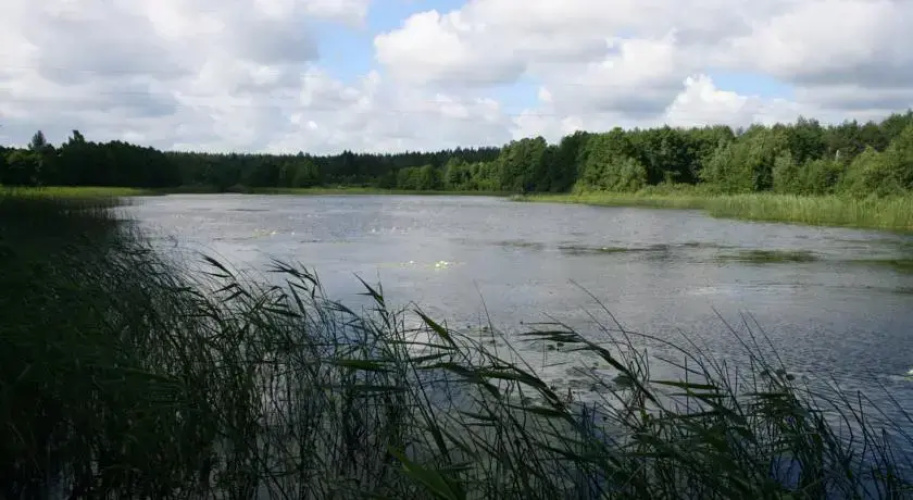 Dekšņi