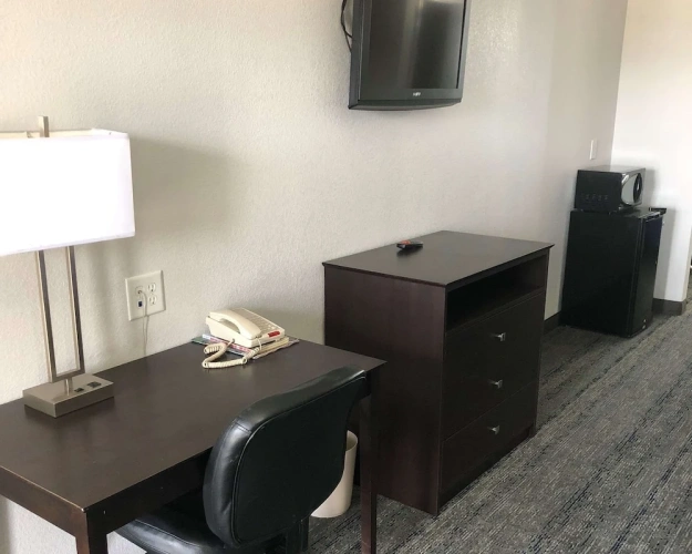 Twin Suite