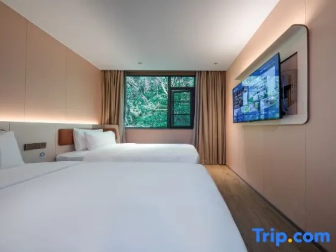 Standard Double room with view