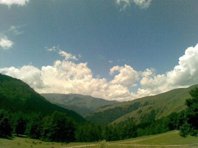 Outside