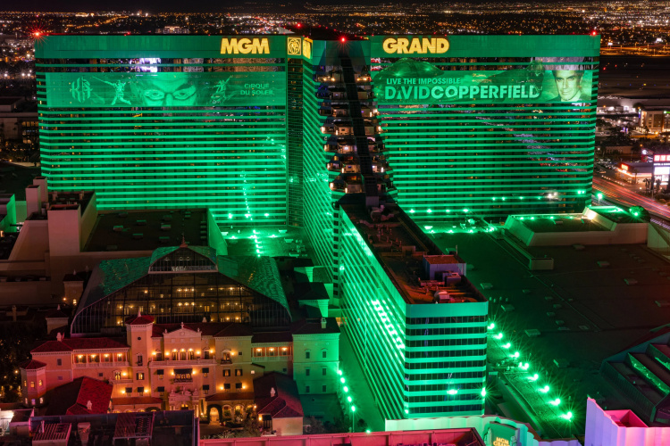 MGM Grand Las Vegas photo 26